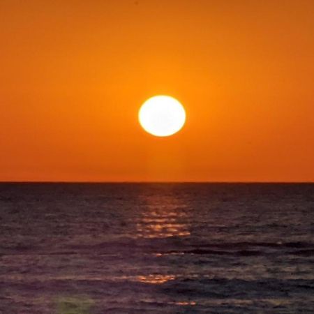 Nieuw Strand Petten Εξωτερικό φωτογραφία