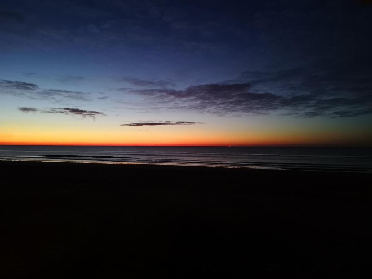 Nieuw Strand Petten Εξωτερικό φωτογραφία