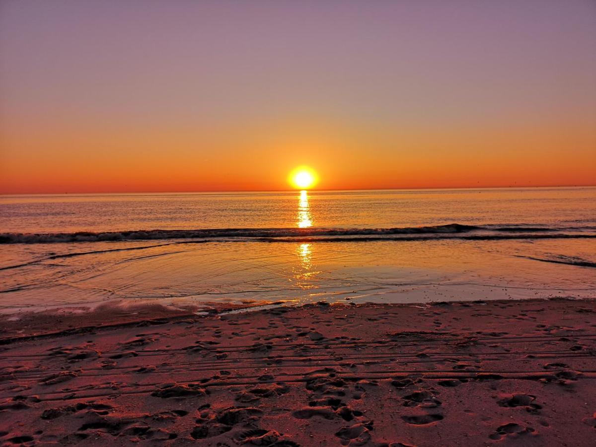 Nieuw Strand Petten Εξωτερικό φωτογραφία