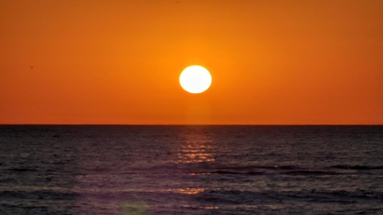 Nieuw Strand Petten Εξωτερικό φωτογραφία
